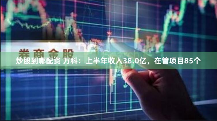 炒股到哪配资 万科：上半年收入38.0亿，在管项目85个